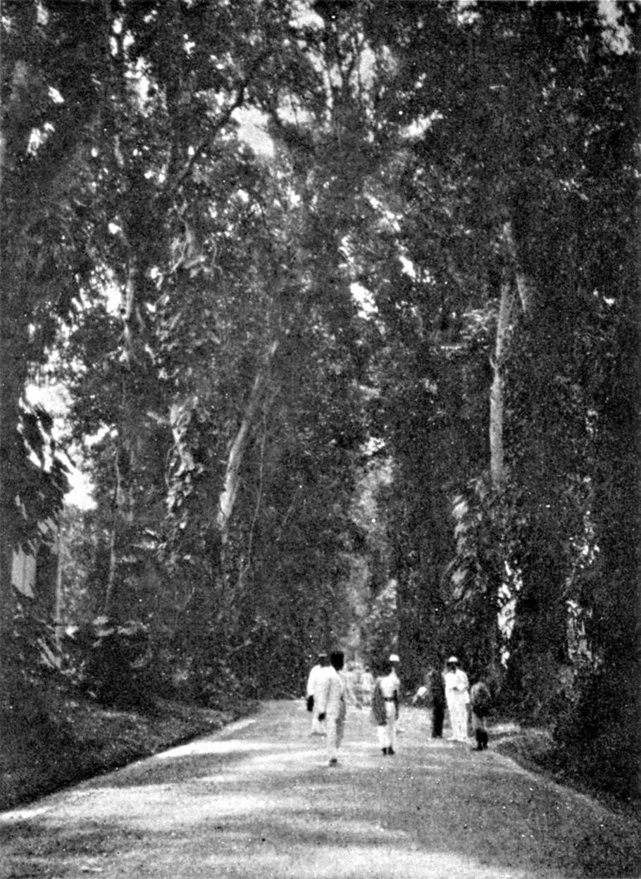 The entrance of Buitenzorg Botanical Garden