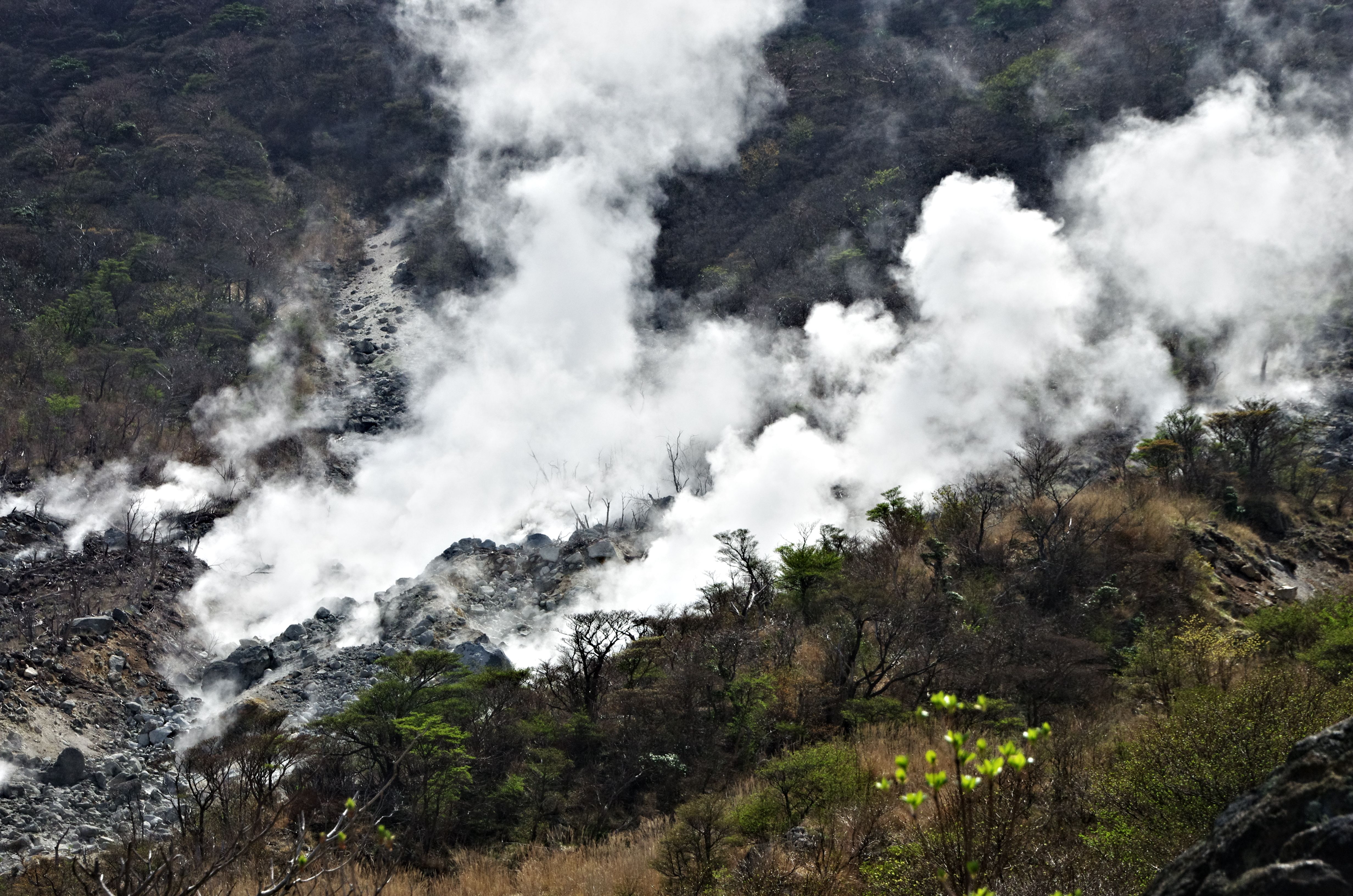 Steam vigorously emitting from Oowakudani Valley, Hakone (2015-04-24). It was probably the sign of unusual volcanic activities that occurred a week later. 大涌谷から涌立つ水蒸気, 箱根。爆発1週間後，この時点で既に兆候があったのかも知れない。