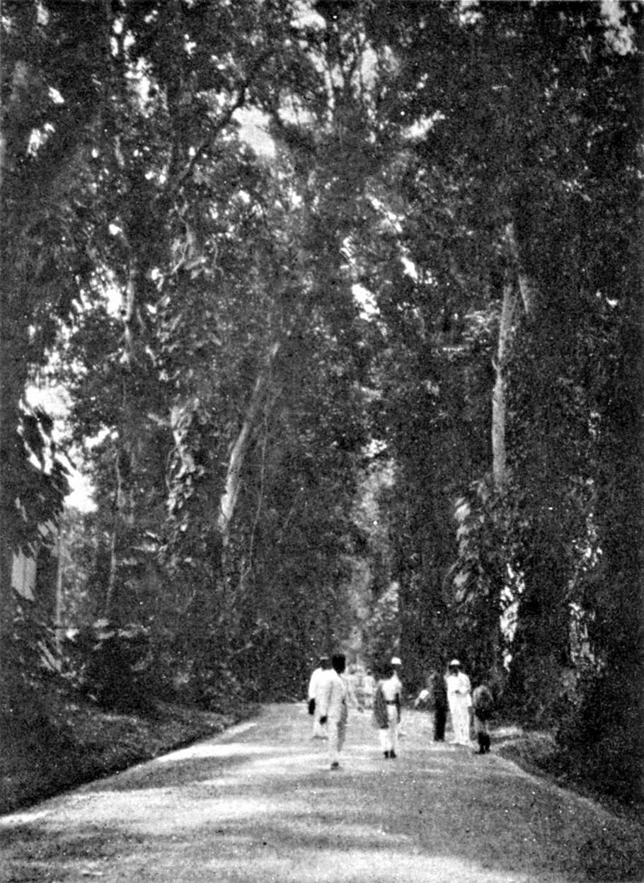 Pintu masuk Kebun Botani Buitenzorg.