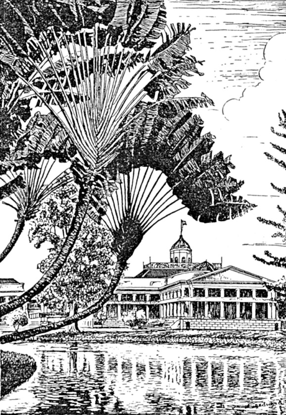Istana Buitenzorg dengan pohon pisang kipas di depannya. Buitenzorg Scientific Centre, Buitenzorg Scientific Centre (brochure), Archipel Drukkerij en T Boekhuis, Buitenzorg 1948.